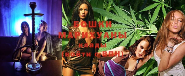 крисы Алексин