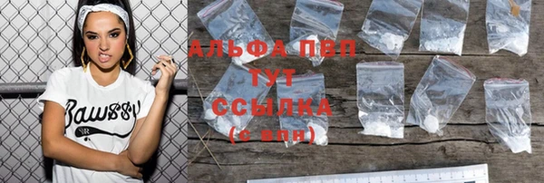 крисы Алексин