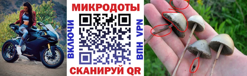 Псилоцибиновые грибы Magic Shrooms  купить закладку  Дзержинский 