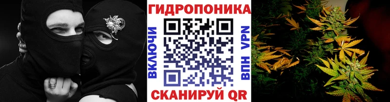 МАРИХУАНА гибрид Дзержинский